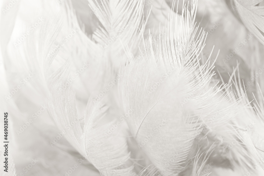 white feather wooly pattern texture background