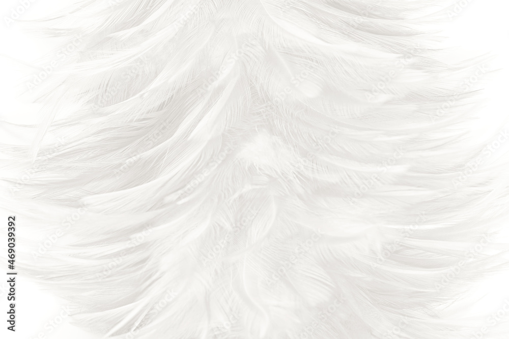 white feather wooly pattern texture background white feather wooly pattern texture background