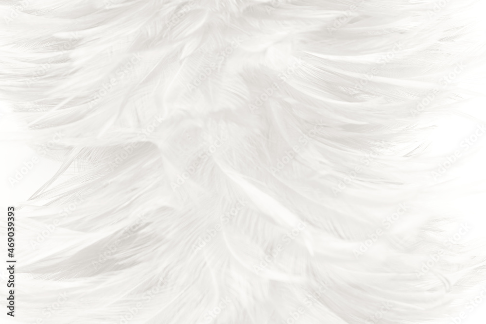 white feather wooly pattern texture background white feather wooly pattern texture background