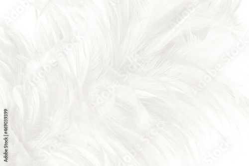 white feather wooly pattern texture background