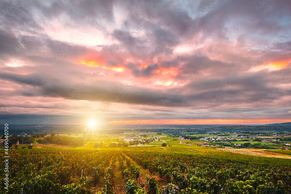 Sunrise with sunflare over vineyards of Beaujolais, France