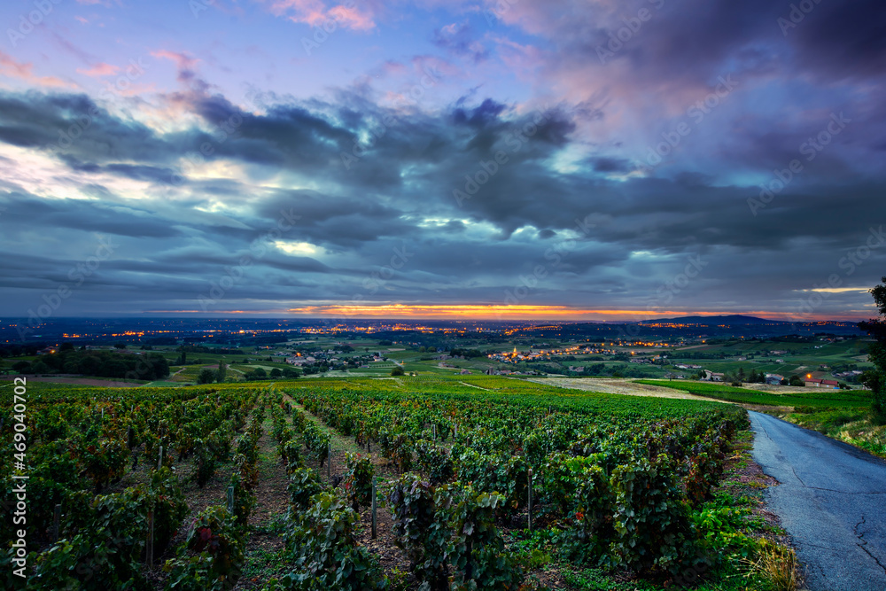 Sunrise lights over vineyards of Beaujolais, France