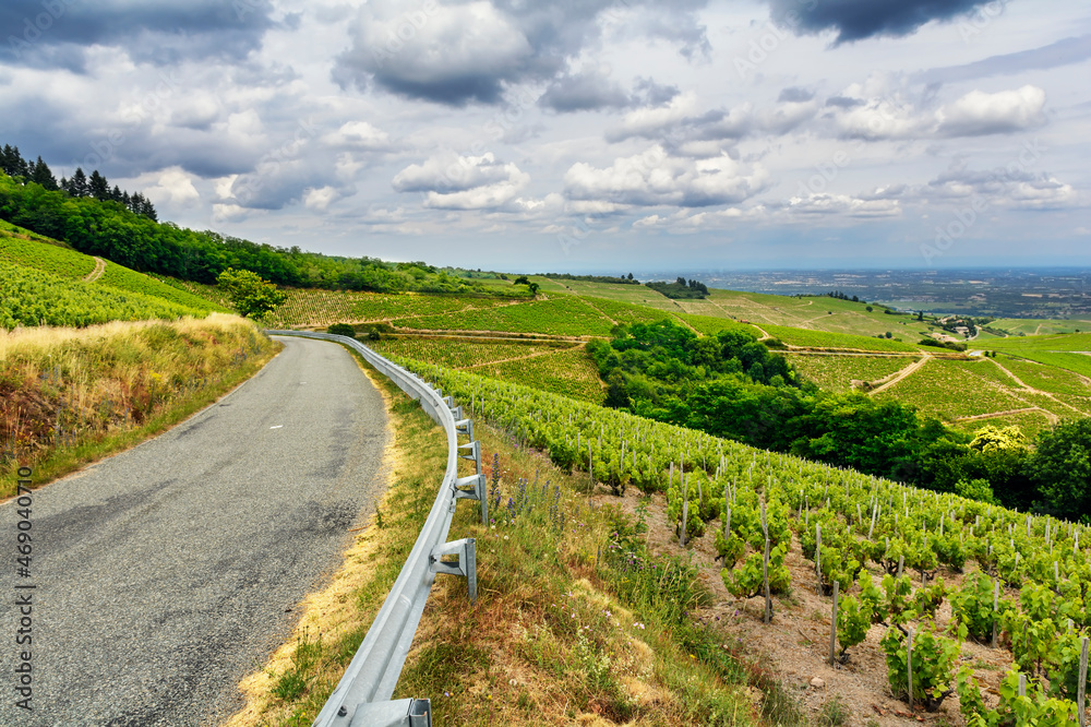 Road of wine, Beaujolais, France