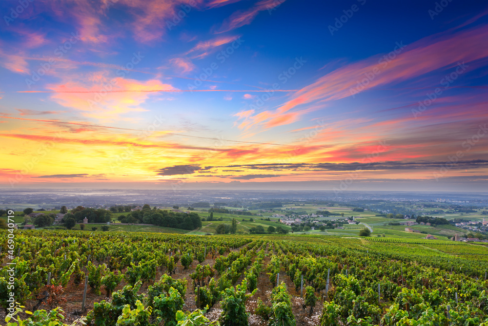 Vineyards and sunrise, Beaujolais, Rhone, France