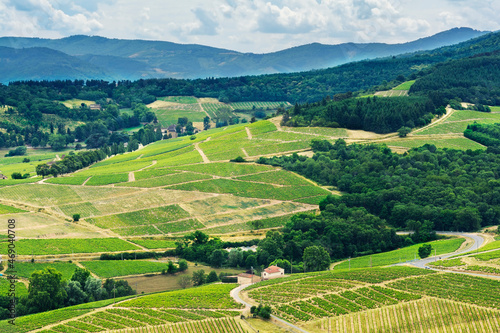 Hill and vineyards, Beaujolais, France © Gael Fontaine
