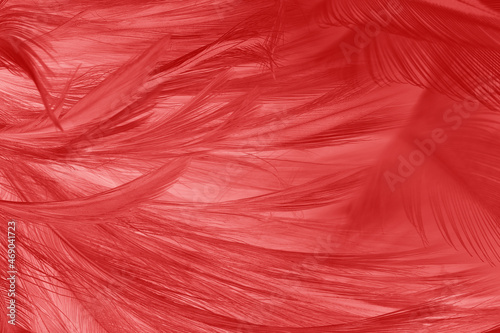 Beautiful dark maroon red feather pattern texture background
