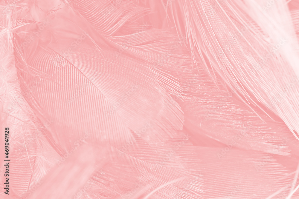 Beautiful soft pink feather pattern texture background Beautiful soft pink feather pattern texture background