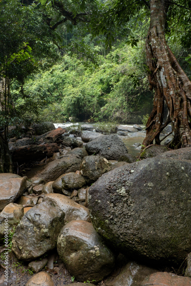 People watch the beautiful nature with trees and mountains, waterfalls. It is a tourist destination for a vacation. People watch the beautiful nature with trees and mountains, waterfalls. It is a tourist destination for a vacation.