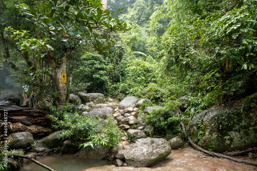 People watch the beautiful nature with trees and mountains, waterfalls. It is a tourist destination for a vacation. People watch the beautiful nature with trees and mountains, waterfalls. It is a tourist destination for a vacation.