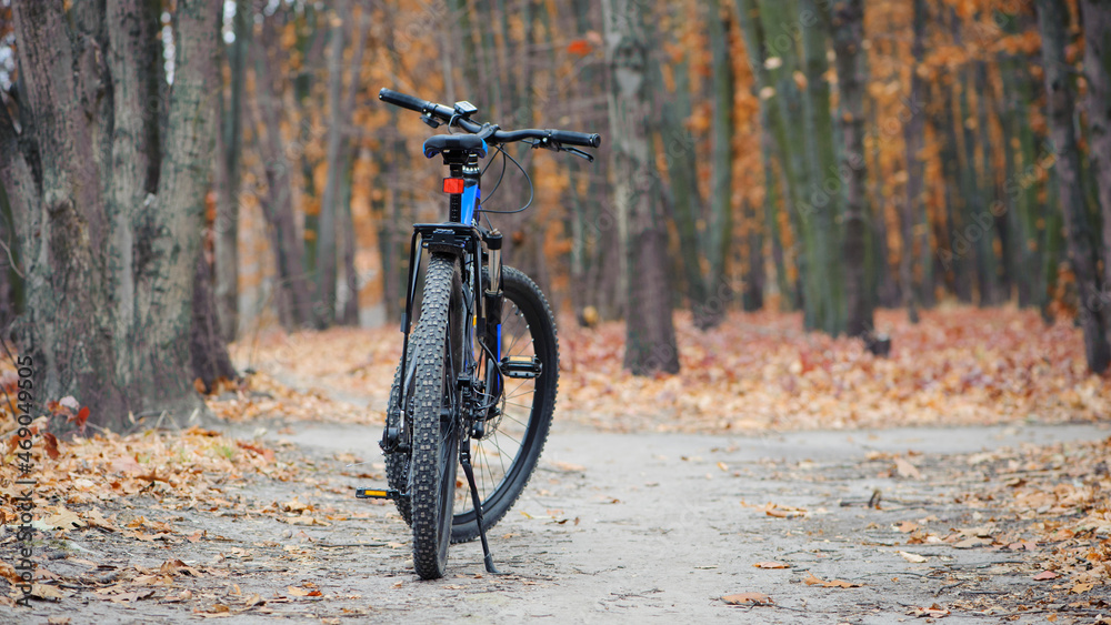 rear wheel of a mountain bike. Mountain bike. stands on a forest road. concept of cycling, repair or breakage, sports, outdoor activities. bike on trail, rear wheel in focus. autumn Park rear wheel of a mountain bike. Mountain bike. stands on a forest road. concept of cycling, repair or breakage, sports, outdoor activities. bike on trail, rear wheel in focus. autumn Park
