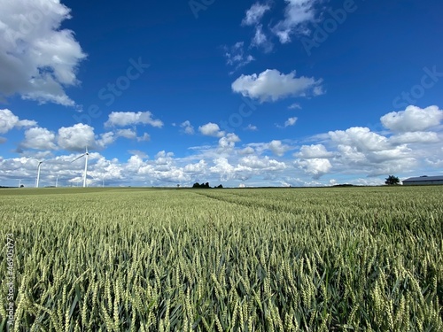 Schw  bische Alb bei B  hmenkirch in der n  he von Ulm Schw  bisch Gm  nd Geislingen Aalen Heidenheim - Windrad Windkraftanlage