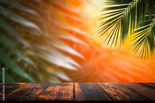 Jungle table background. Interior table for a cosmetic item against the backdrop of tropical plants, palms and jungle.