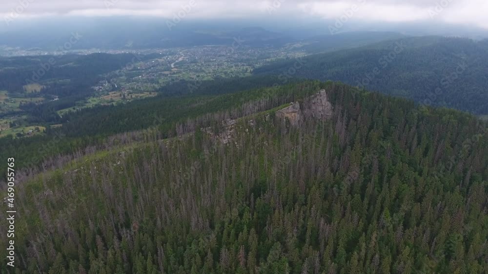 Aerial shot of a Carpathian Mountain with a triangular top and spruces in autumn Aerial shot of a Carpathian Mountain with a triangular top and spruces in autumn