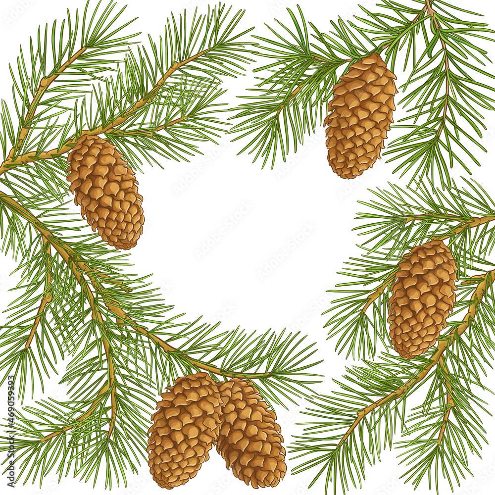 Fototapeta premium fir tree vector frame on white background