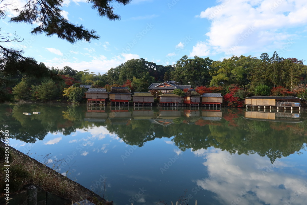 A Japanese shrine in Kyoto Prefecture 日本の京都府にある神社 : Hachijoga-ike Pond in the precincts of Nagaoka-tenmangu Shrine in Nagaokakyo City 長岡天満宮の境内にある八条ヶ池 A Japanese shrine in Kyoto Prefecture 日本の京都府にある神社 : Hachijoga-ike Pond in the precincts of Nagaoka-tenmangu Shrine in Nagaokakyo City 長岡天満宮の境内にある八条ヶ池