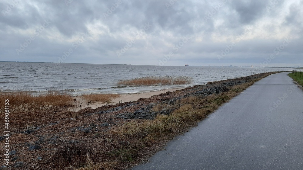 path to the beach