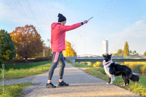 Bilde på lerret Woman playing fetch with her Border Collie throwing a stick