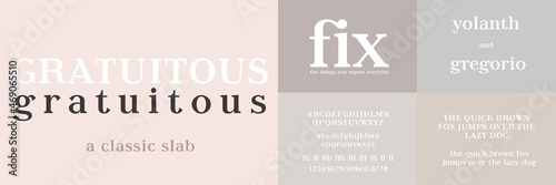 Gratuitous, classic slab serif typeface design. Capital and lowercase letters, ligatures, numbers and special characters. 