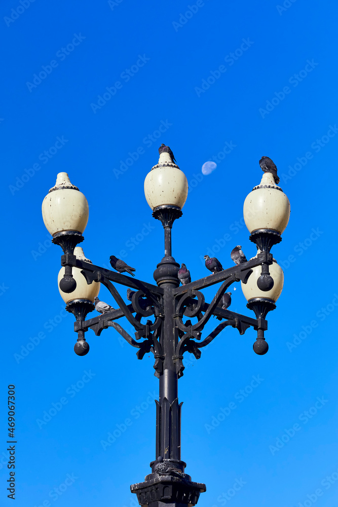 Pigeons sit on a retro street lamp