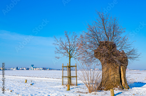 winter landscape in filderstadt photo