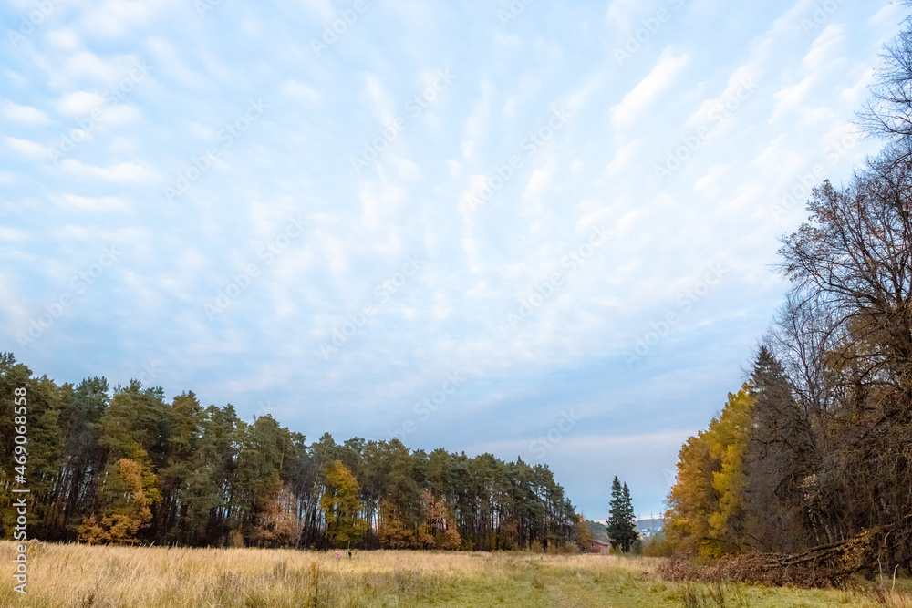 Spindrift clouds over golden autum field and forest