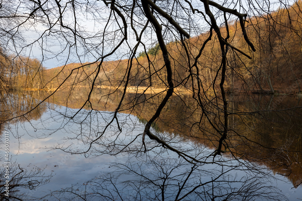 Silhoutte of bald branches in front of lake ukleisee in Spring, Eutin, Schleswig-Holstein, Northern germany Silhoutte of bald branches in front of lake ukleisee in Spring, Eutin, Schleswig-Holstein, Northern germany