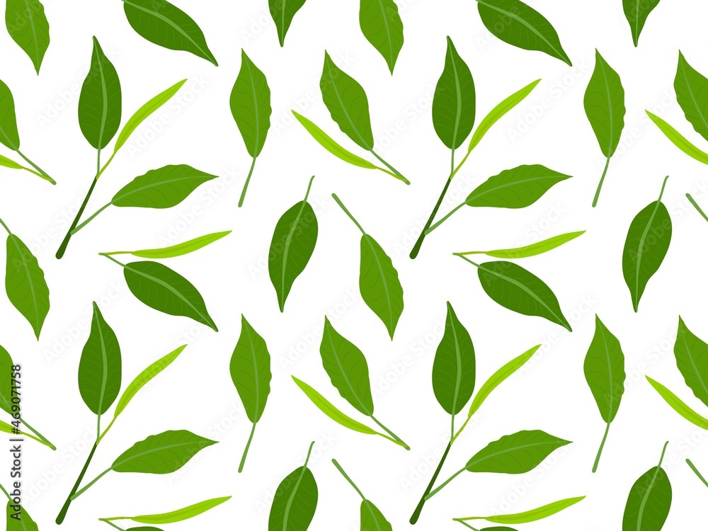 Tea leaves seamless pattern. Green fresh leaves isolated on white background. Tea twigs. Botanical vector illustration for wallpaper, wrapping, packing, textile, scrapbooking.