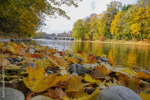 Wallpaper Mural River Isar with colorful trees and leaves in autumn macro Torontodigital.ca