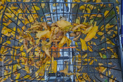 Wallpaper Mural Autumn leaves in bicycle basket Torontodigital.ca