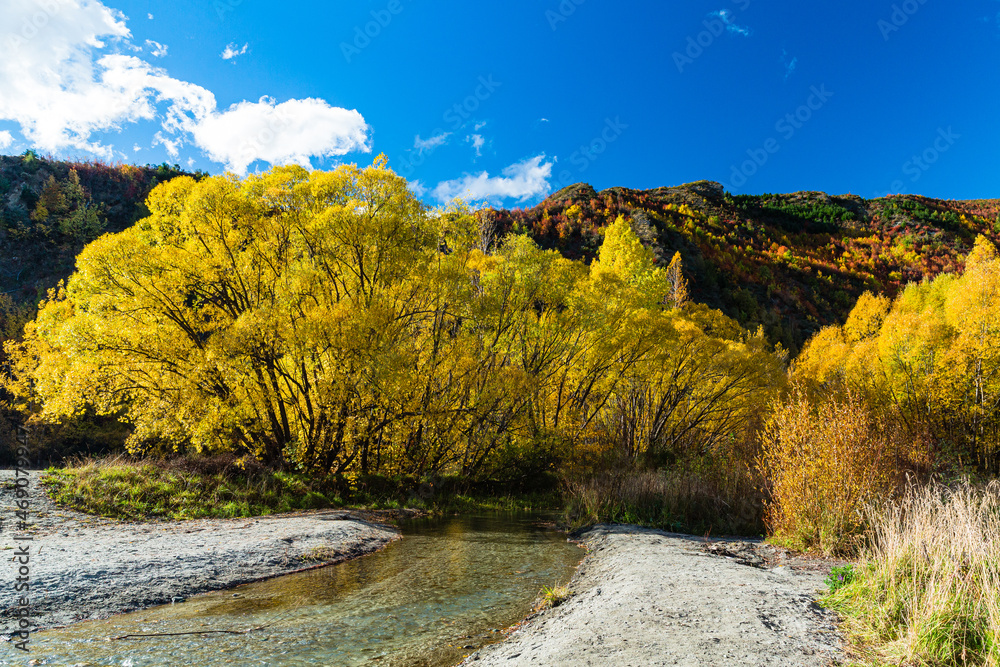 ニュージーランド　オタゴ地方のアロータウンの秋の山の紅葉とアロー川