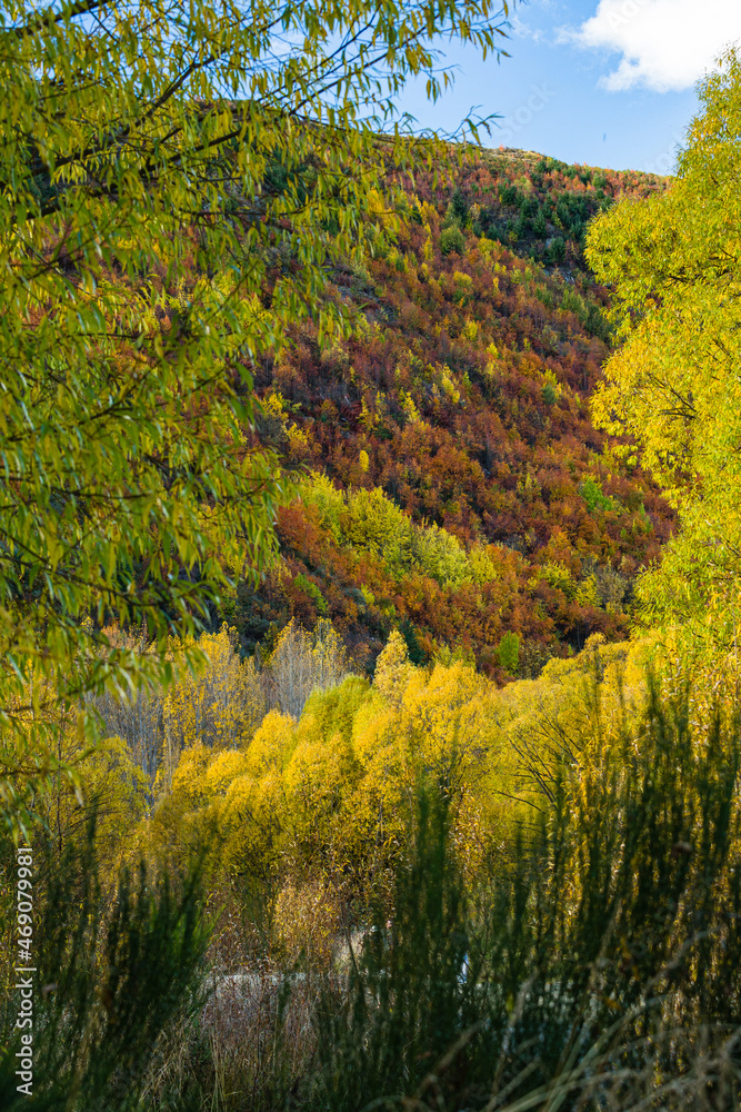 ニュージーランド　オタゴ地方のアロータウンの秋の山の紅葉