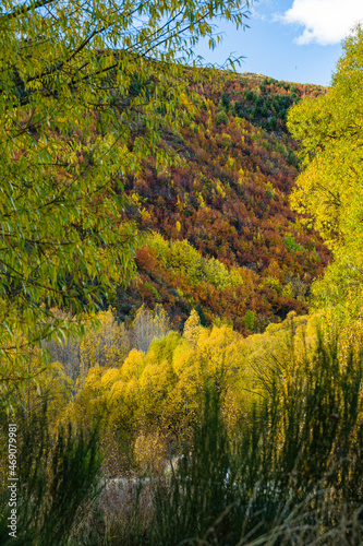 Fototapeta Naklejka Na Ścianę i Meble -  ニュージーランド　オタゴ地方のアロータウンの秋の山の紅葉