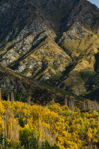  ニュージーランド オタゴ地方のクイーンズタウン近郊のアーサーズポイントの風景と紅葉