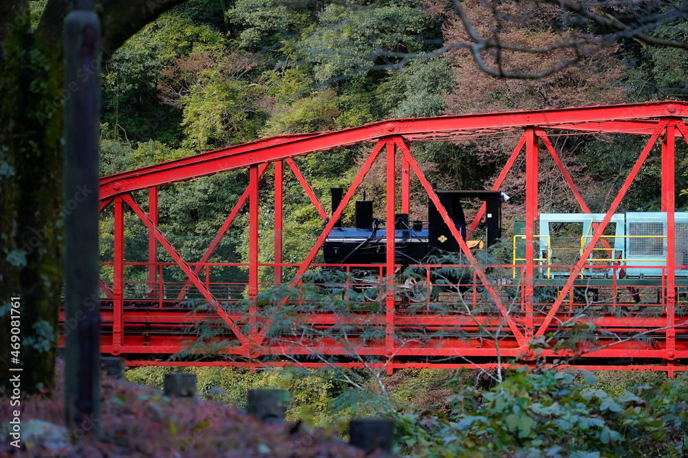 橋と汽車