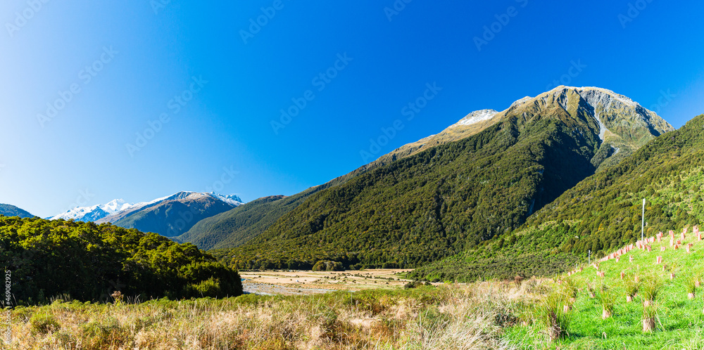 ニュージーランド　オタゴ地方のブループールまでのウォーキングトラックの風景
