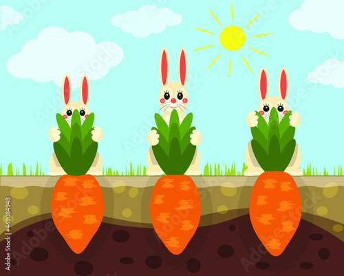 Three cute rabbits harvesting carrots, a funny bunny card, bunnies pulling carrots out of the ground, carrots growing in the ground, vegetables rooting in the soil