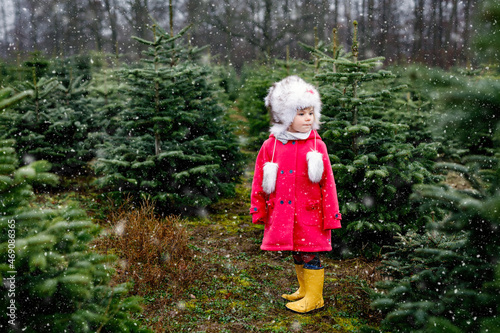 Adorable little toddler girl with Christmas tree on fir tree cutting plantation . Happy child in winter fashion clothes choosing, cut and felling own xmas tree in forest, family tradition in Germany photo