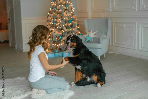 An adult woman in warm knitted socks and pajamas plays Christmas eve with her pet in a room on the floor