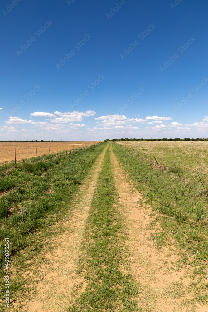 Vertical of a two wheel dirt road leading into the distance