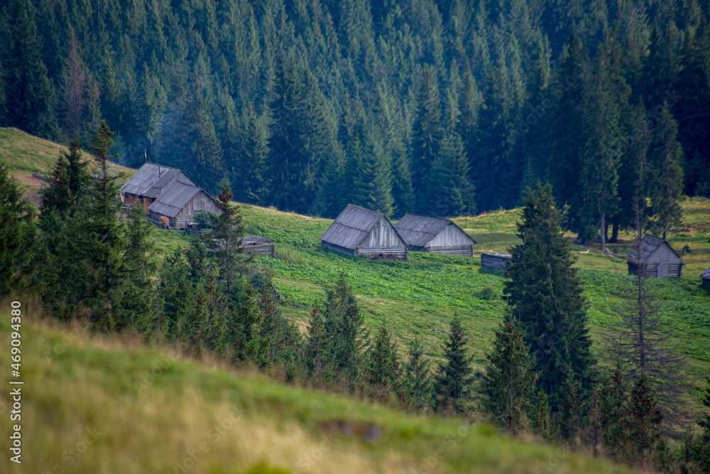 houses in a meadow in the mountains between trees, smoke from the stove