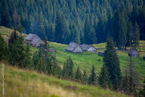 houses in a meadow in the mountains between trees, smoke from the stove