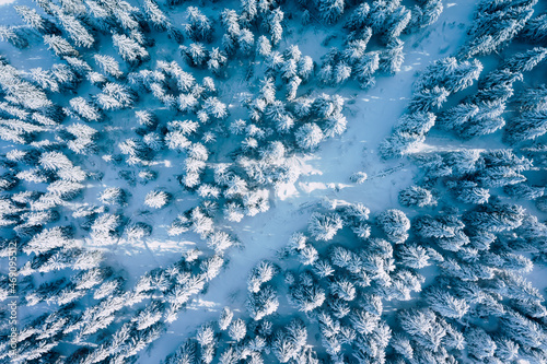 Aerial Winter Mountain landscape with coniferous forest covered with snow photo