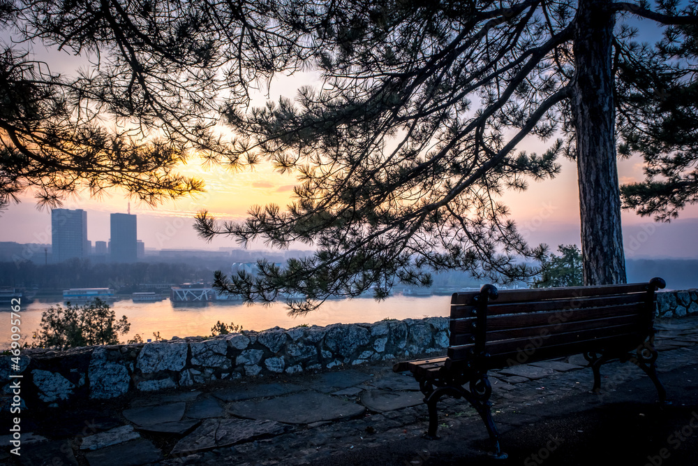 Evening view on Sava and Danube river from a bench surrounded by pine branches in the park Kalemegdan in Belgrade, Serbia
