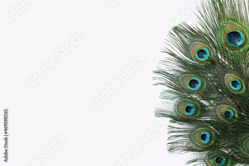 Beautiful bright peacock feathers on white background photo