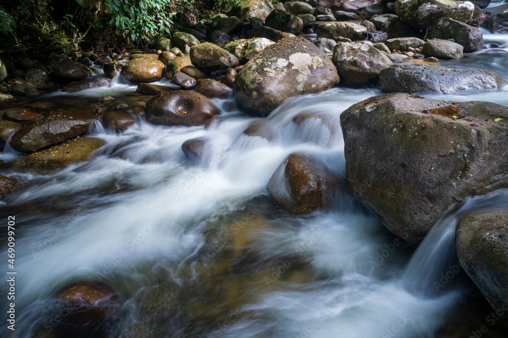 stream in the forest stream in the forest