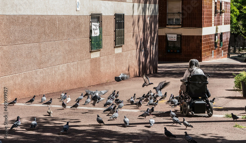Billede på lærred persona mayor en silla de ruedas dando de comer a las palomas