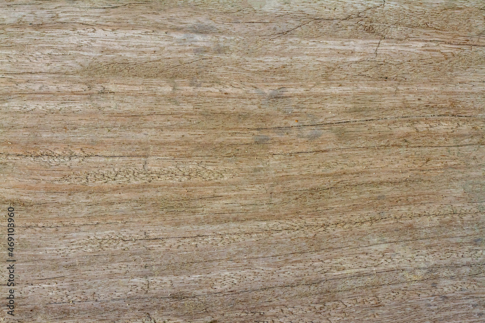 Surface of wood background and texture.