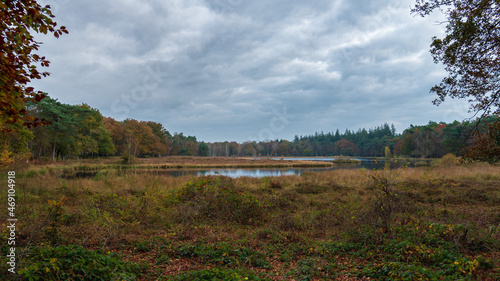 View of the pluismeer during autumn at lage Vuursche The Netherlands, Utrecht, Utrechtse heuvelrug, autumn colors, stock photo, lake photo