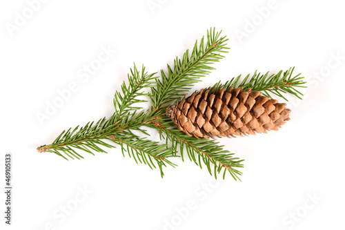 Spruce branch and cone. Fir Christmas Tree. Green pine, spruce branch with needles. Isolated on white background. Close up top view, high resolution. photo
