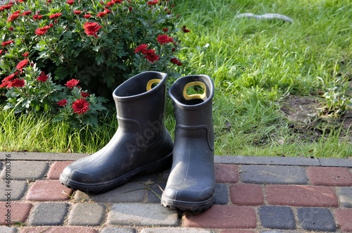 black rubber boots near the lawn with flowers, the concept of working in the garden